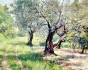 威廉梅里特查斯 - The Olive Grove